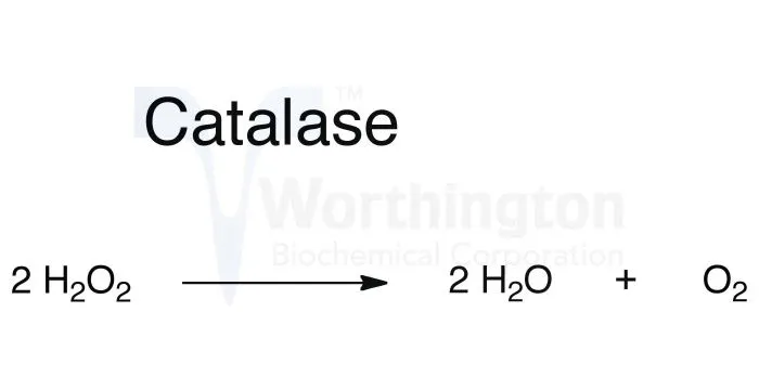 Hydrogen peroxide